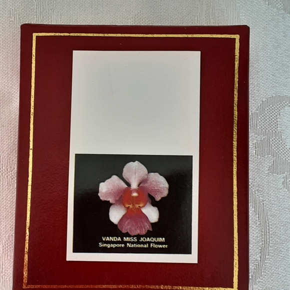 24K Gold Plated Singapore Orchid Copper Brooch/Pendant - Picture 4 of 7